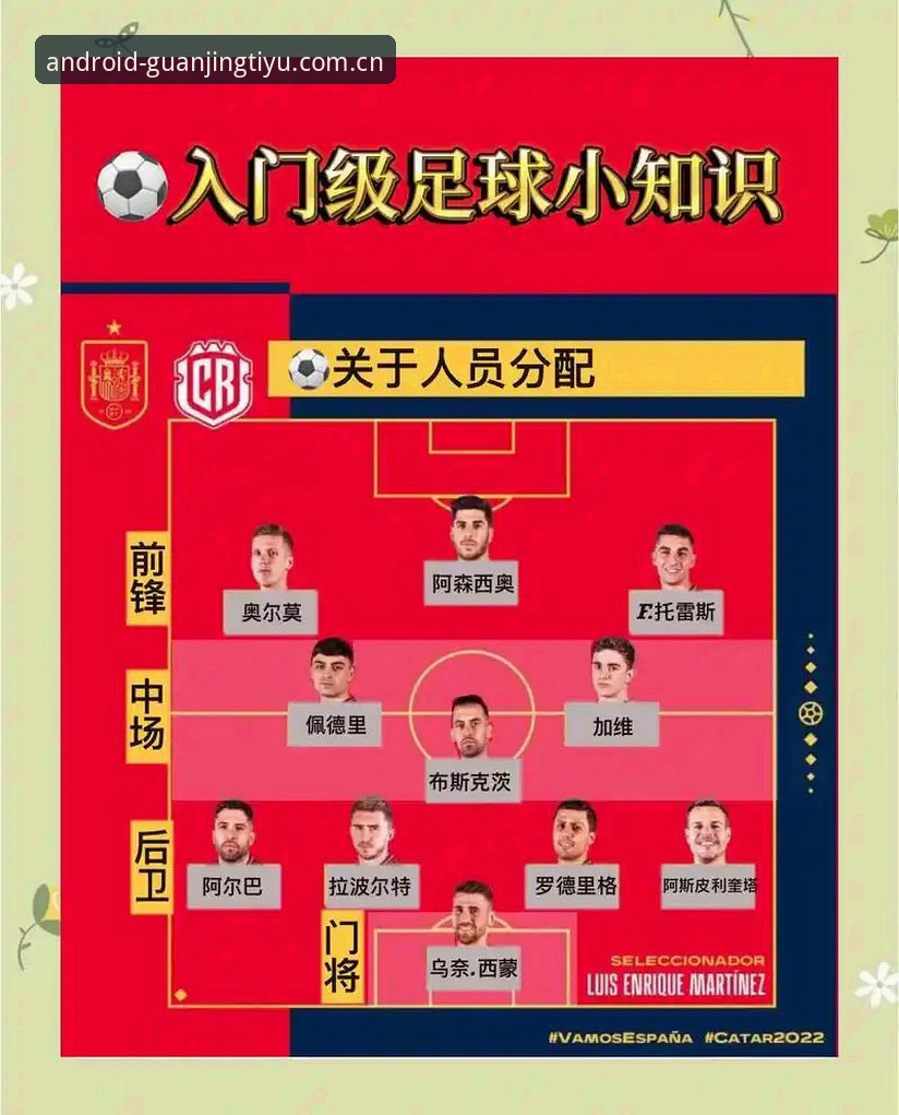 世界杯安保变化深度解读：体育迷的赛事信息获取与观赛指南