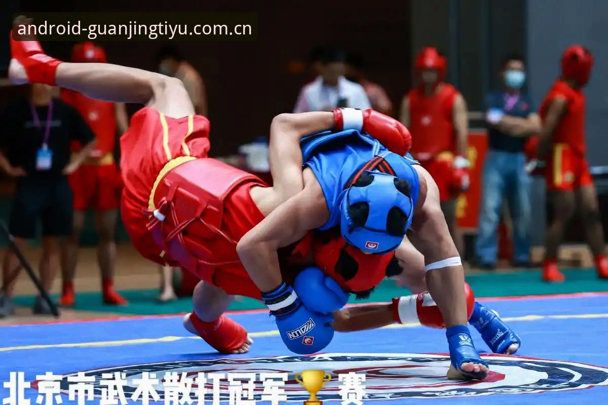 冠竞体育在线观看评测 vs 传统直播平台：哪个更适合新手入门？
